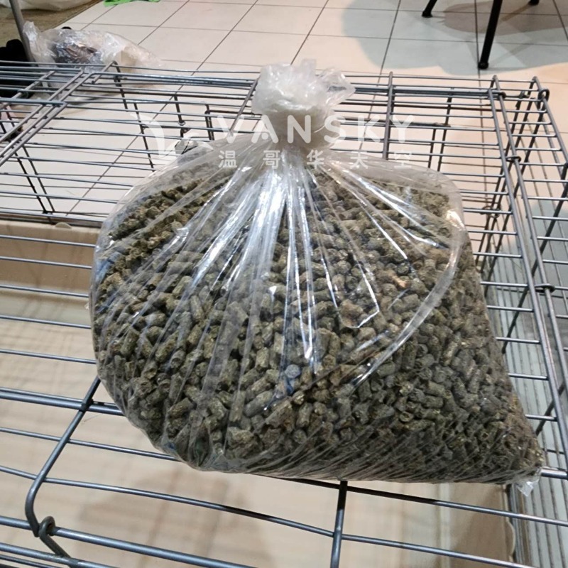 251023155938_Guinea 3.jpg